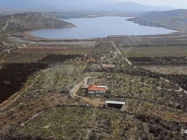 Selçuk, İzmir içerisinde satılık mülk