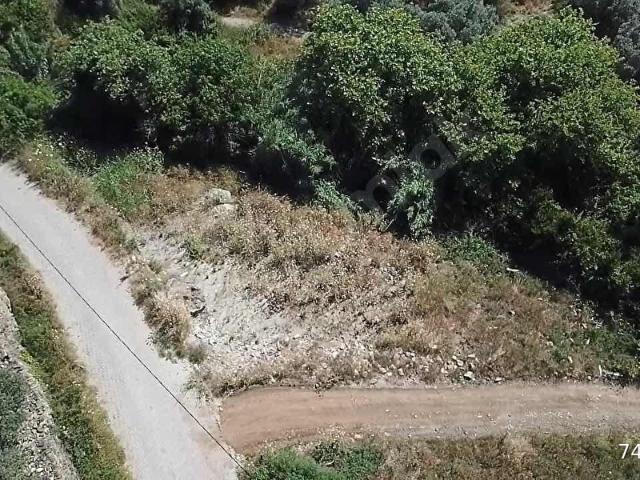 Selçuk, İzmir içerisinde satılık mülk