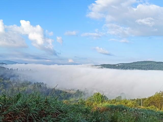 Участок аренда в Львовская, Трускавце
