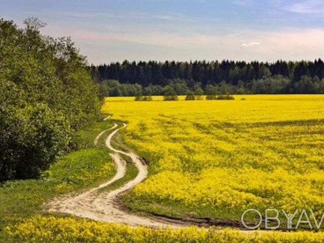 Участок аренда в Фурсах, Винницкой области