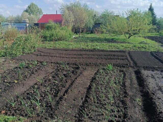 Участок продажа в Барнаул, Алтайский Край