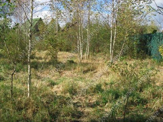 Участок продажа в Чапаевка, Одинцовский городской округ