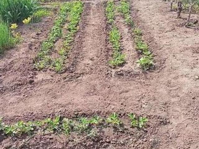 Участок продажа в Самарская область