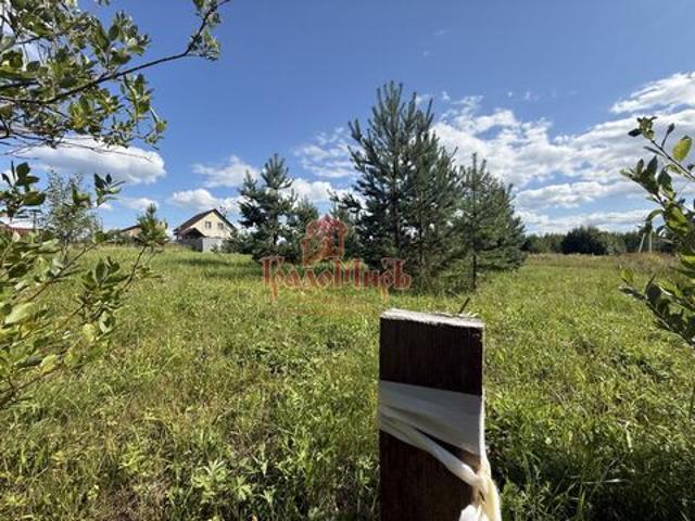 Участок продажа в городское поселение Карабаново, Александровский район