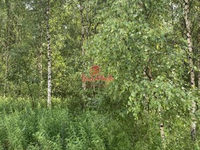 Участок продажа в СНТ «Владыкино», Талдомский городской округ