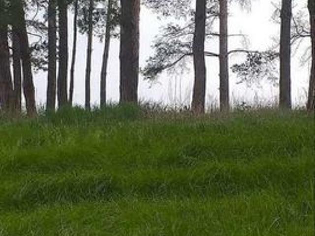 Участок продажа в Самарская область