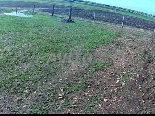 Propriété vente à El Ma, Gharb-Chrarda-Beni Hssen