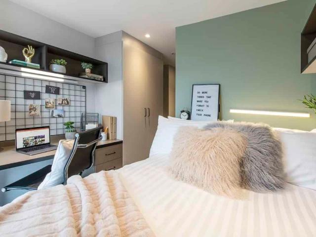 Apartment for rent in Newtown, Falcon Lodge