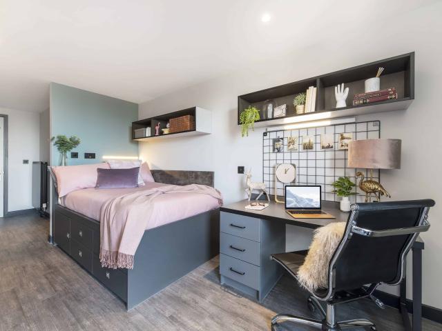 Apartment for rent in Newtown, Falcon Lodge