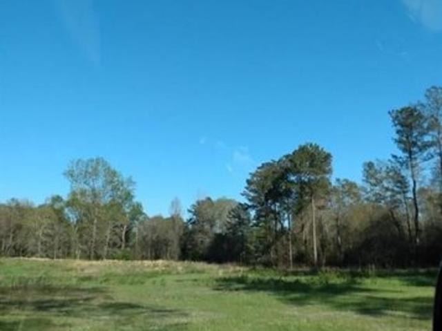 Land for sale in Roberta, Crawford County