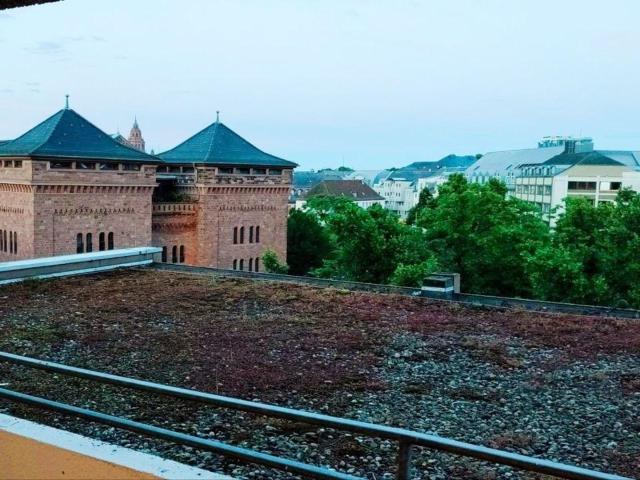 Wohnung kaufen in Mainz, Rheinland-Pfalz