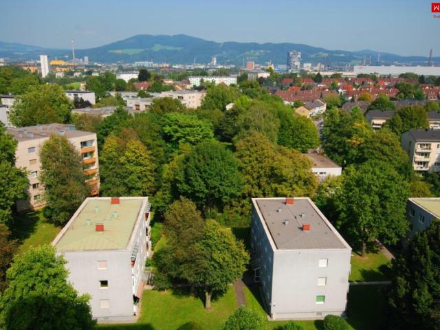 Apartment mieten in Spallerhof, Linz