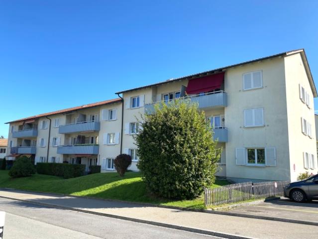 Wohnung mieten in Schwarzenbach (SG), St. Gallen