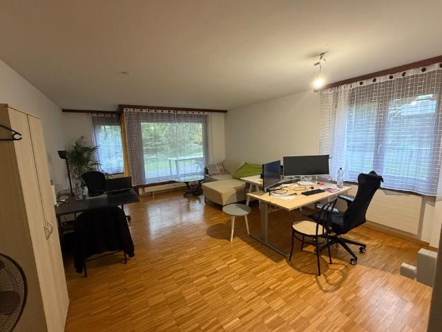 Apartment mieten in Affoltern am Albis, Bezirk Affoltern