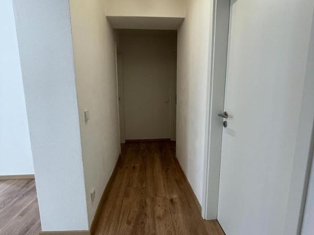 Apartment mieten in Lauingen, Bayern