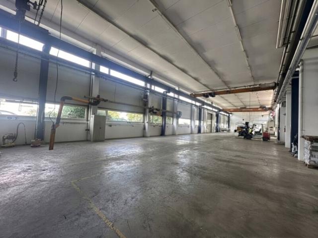 Industrie mieten in Biedermannsdorf, Niederösterreich