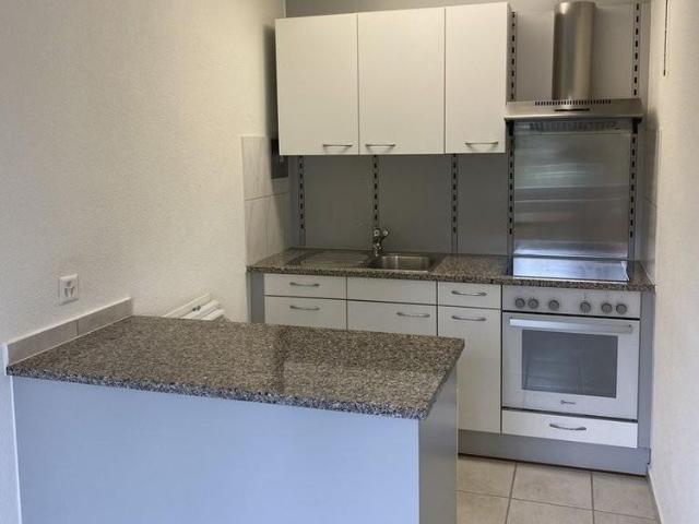 Apartment mieten in Niederuster, Uster