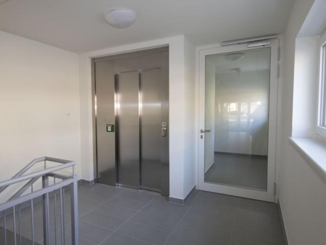 Wohnung mieten in Götzendorf an der Leitha, Niederösterreich