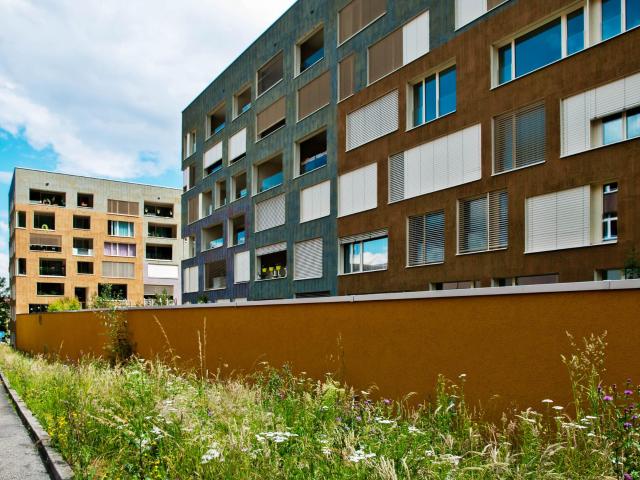 Apartment mieten in Lü