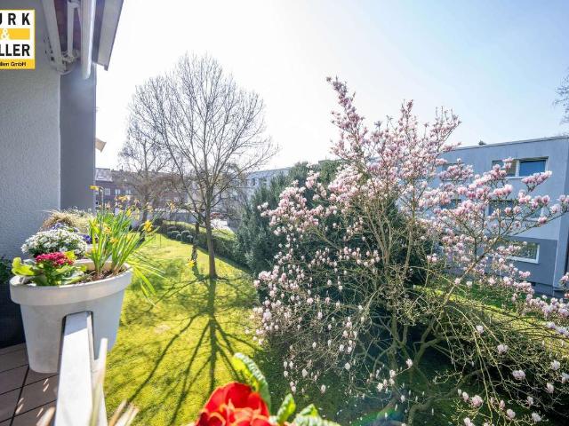 Wohnung kaufen in Kerpen (Eifel), Landkreis Vulkaneifel