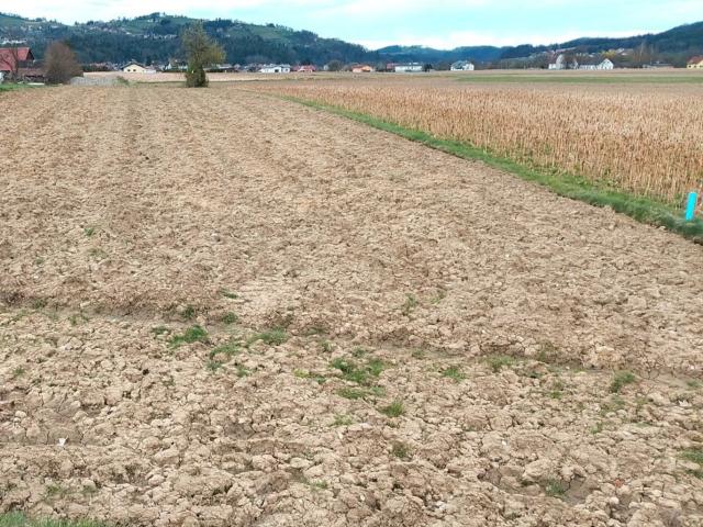 Grundstück kaufen in Gleinstätten, Steiermark