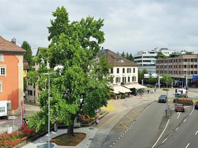 Wohnung mieten in Rapperswil-Jona, St. Gallen