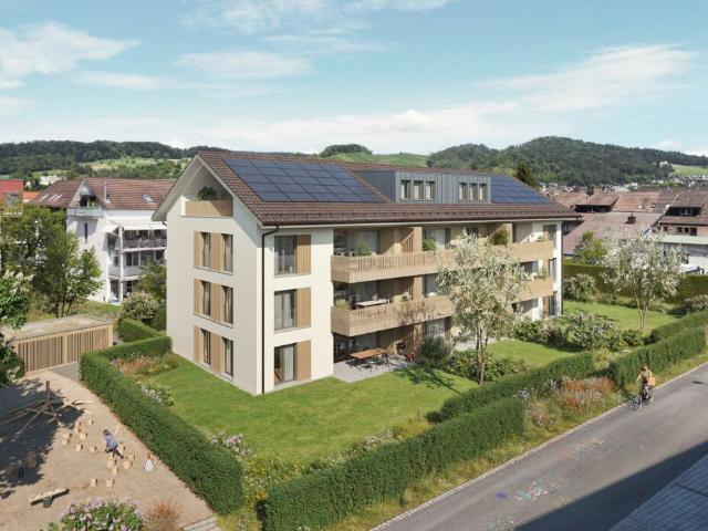 Dachwohnung kaufen in Mülligen, Aargau