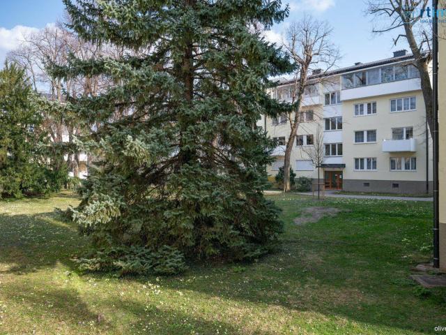 Apartment kaufen in Baden, Niederösterreich