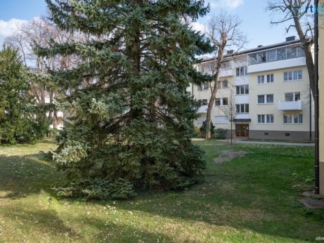 Erdgeschosswohnung kaufen in Baden, Niederösterreich