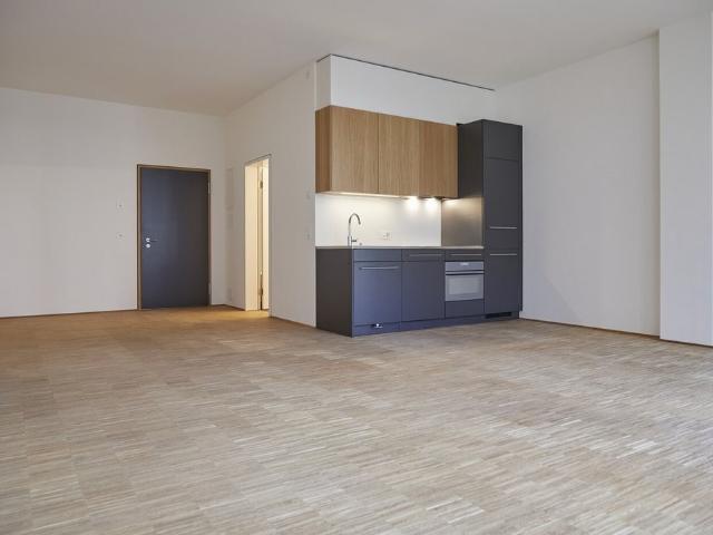Wohnung mieten in Einigen, Zürich