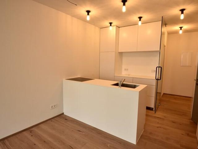 Apartment kaufen in Bregenz, Bezirk Bregenz