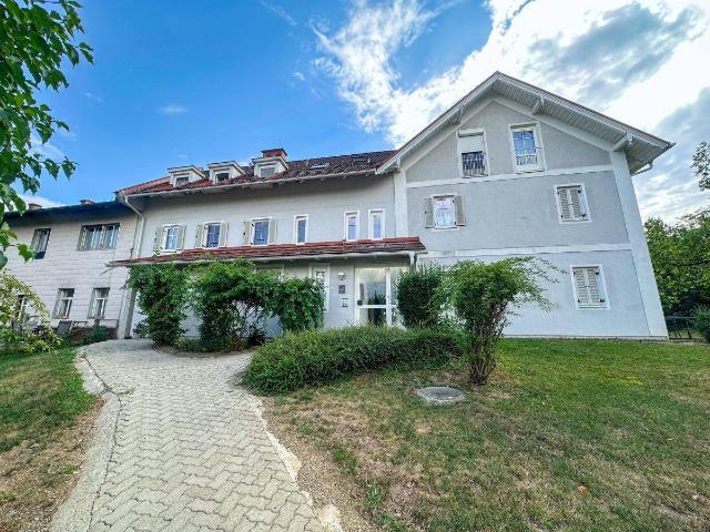 Apartment mieten in Feldbach, Steiermark