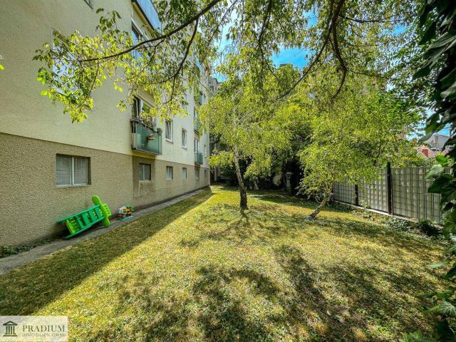 Apartment mieten in Baden, Niederösterreich