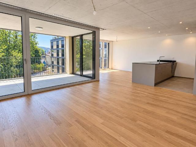 Apartment mieten in Huggler-Areal, Suhr