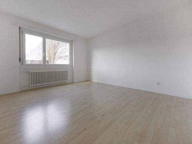 Apartment mieten in Olten, Amtei Olten-Gösgen