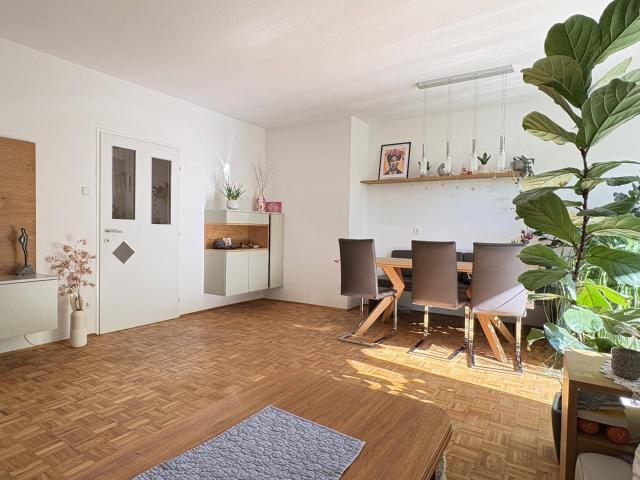 Apartment kaufen in Altstadtviertel, Linz