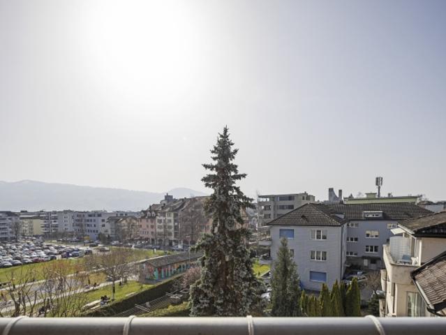 Wohnung kaufen in Rapperswil-Jona, St. Gallen