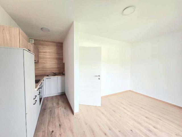 Apartment mieten in Edling, Spittal an der Drau
