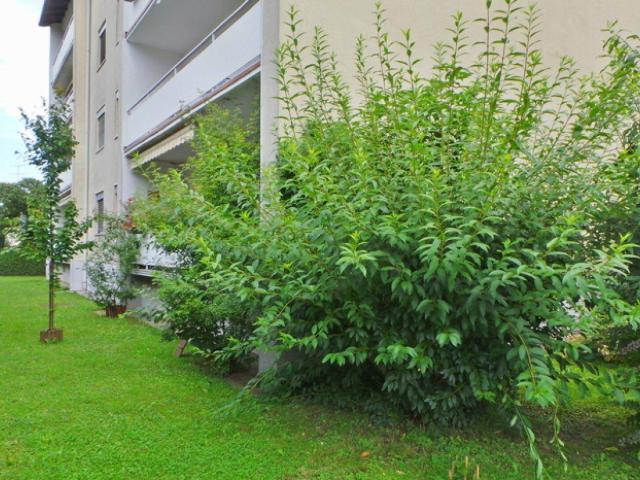 Apartment kaufen in Feldbach