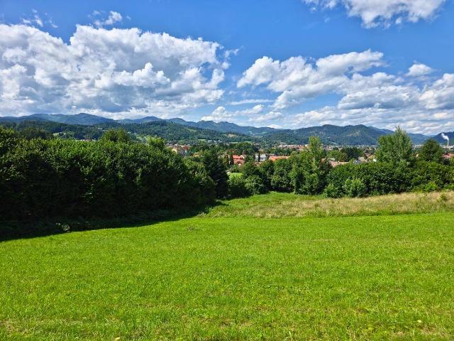 Immobilie kaufen in Eisbach, Steiermark