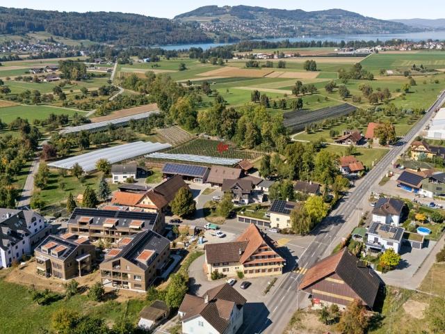 Immobilie kaufen in Altwis, Hitzkirch
