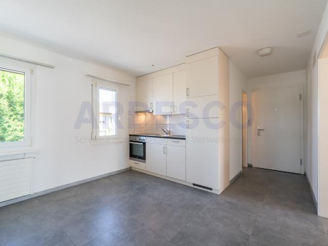 Wohnung mieten in Hunzenschwil, Aargau