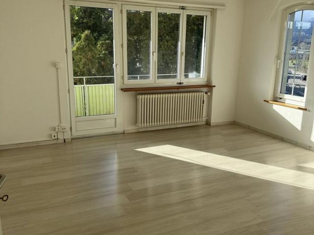 Apartment mieten in Stelzenacker, Dietikon
