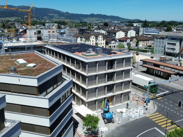 Immobilie kaufen in Diepoldsau, St. Gallen