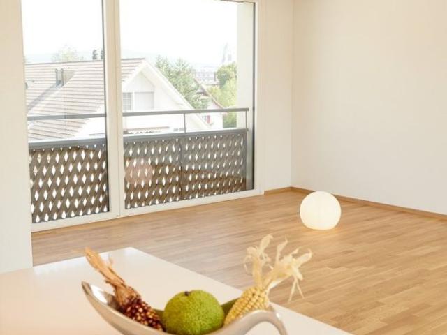 Apartment mieten in Hätschen, Dietikon