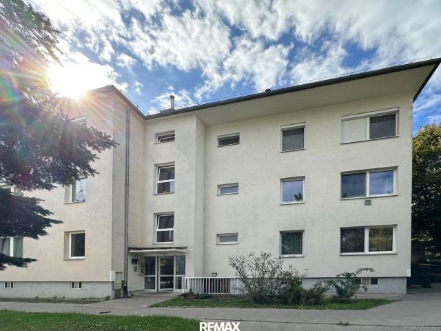 Apartment mieten in Schöffelstadt, Mödling
