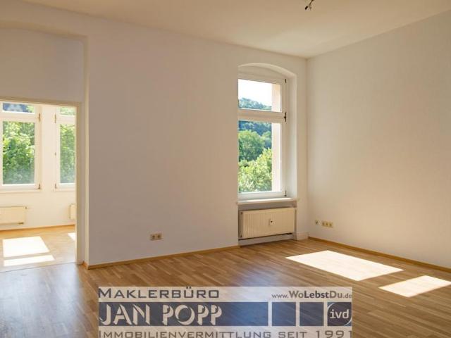 Apartment mieten in Greiz, Thüringen