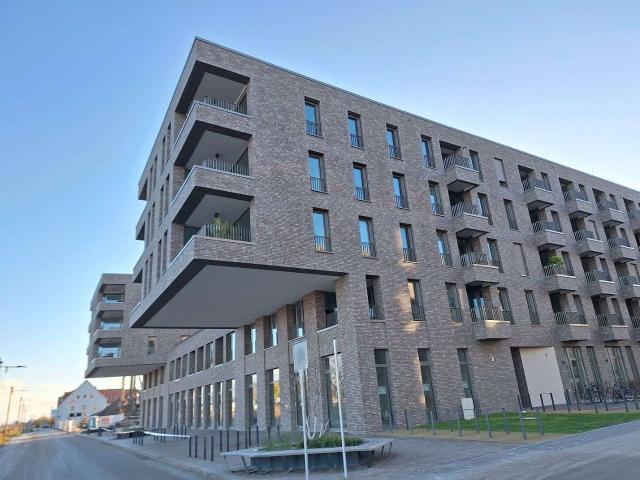 Apartment mieten in Greifswald, Mecklenburg-Vorpommern