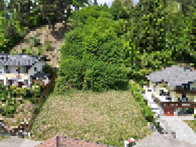 Grundstück kaufen in Seeboden, Kärnten