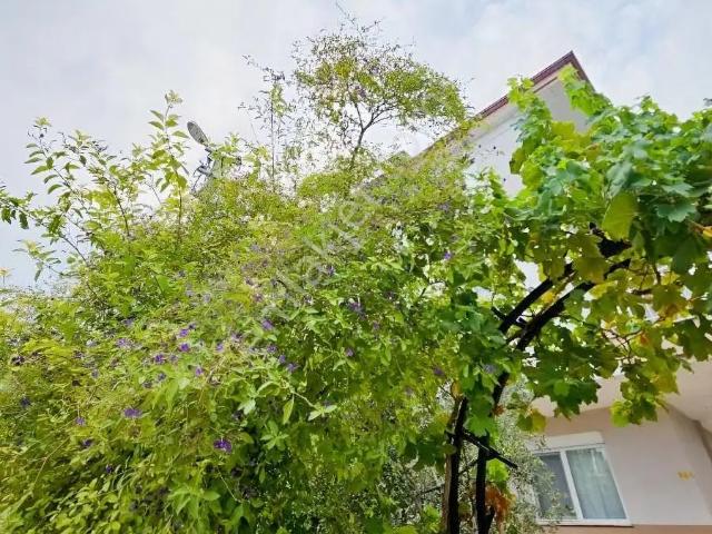 Muratpaşa, Antalya içerisinde kiralık mülk